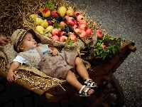 Owoce, Śpiące, Dziecko, Taczka