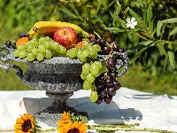 Waza, Owoce, Winogrona, Kwiaty