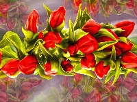Czerwone, Tulipany, Grafika