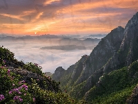 Park Narodowy Wolchulsan, Mgła, Wschód słońca, Korea Południowa, Góry Wolchulsan, Prowincja Jeolla Południowa, Kwiaty