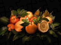 Pomarańcze, Gruszki
, Liście, Jabłka, Owoce cytrusowe