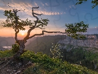 Atrakcja Creux du Van, Chmury, Drzewo, Dolina Val de Travers, Szwajcaria, Skały, Kanton Neuchatel, Wschód słońca