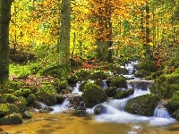 Rzeka, Jesień, Las, Drzewa, Kamienie