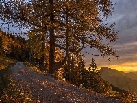 Reichraming, Zachód słońca, Zbocze, Droga, Las, Austria, Drzewa, Góry