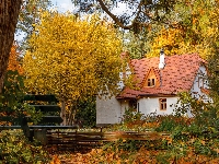 Dom, Drzewa, Jesień, Dachówka, Biały, Czerwona, Ławka