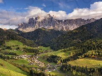 Drzewa, Region Trydent-Górna Adyga, Dolina, Włochy, Prowincja Bolzano-Alto Adige, Góry Dolomity