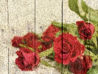 Róże, Grafika, Czerwone, Deski