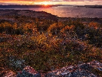 Rezerwat przyrody Bymarka, Trondheim, Fiord Trondheimsfjorden, Góry, Kamienie, Jesień, Norwegia, Zachód słońca, Drzewa