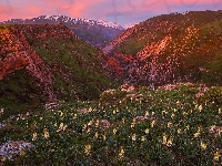 Kanion rzeki Aksu, Zachód słońca, Kazachstan, Rezerwat przyrody Aksu-Zhabagly, Góry