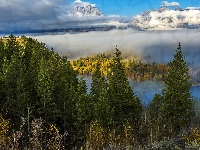 Krajobraz, Góry, Stan Wyoming, Las, Stany Zjednoczone, Świerki, Mgła, Jesień, Drzewa, Park Narodowy Grand Teton