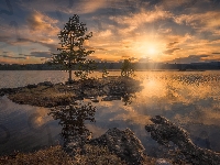 Jezioro, Gmina Ringerike, Drzewa, Norwegia, Wschód słońca, Wysepka