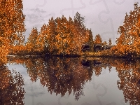 Jesień, Domki, Jezioro, Brzozy, Drewniane