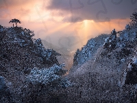 Góry, Korea Południowa, Park prowincjonalny Daedunsan, Mgła, Przebijające światło, Zima, Drzewa, Jeolla Północna
