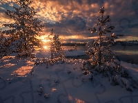 Ringerike, Drzewa, Chmury, Jezioro, Norwegia, Zima, Wschód słońca