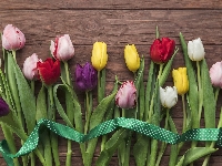 Wstążka, Kolorowe, Tulipany, Deski