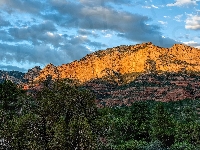 Kanion, Park Stanowy Slide Rock, Skały, Lasy, Stany Zjednoczone, Góry, Kanion Oak Creek Canyon, Drzewa, Stan Arizona