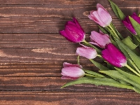 Brązowe, Różowe, Tulipany, Deski