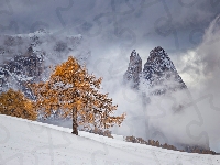 Drzewa, Dolomity, Włochy, Góry, Zima, Mgła, Masyw Schlern