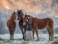 Dziewczyna, Trzy, Konie, Śnieg