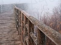 Most, Drewniany, Mgła