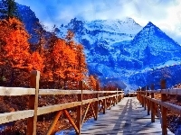 Most, Rzeka, Drzewa, Śnieg, Drewniany, Góry, Jesień