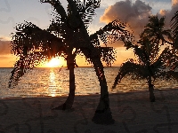 Morze, Zachód słońca, Tropiki, Palmy