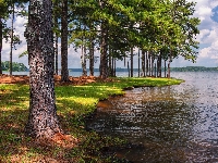 A.L. Anderson Park, Jezioro, Stany Zjednoczone, Drzewa, West Point Lake, Floryda