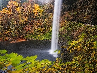 Las, Stany Zjednoczone, Park miejski Silver Falls, Drzewa, Punkt widokowy, Wodospad South Falls, Jesień, Oregon