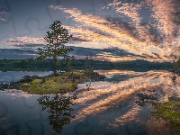 Jezioro, Ringrike, Odbicie, Norwegia, Chmury, Drzewa