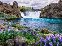 Rzeka, Skały, Łubiny, Niebo, Islandia, Kwiaty, Wodospad Hjalparfoss, Kamienie, Chmury