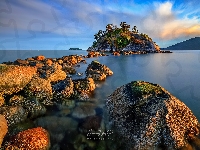 Kamienie, Kanada, West Vancouver, Skała, Whytecliff Park, Morze, Drzewa, Vancouver