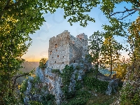 Ruiny, Skała, Zamek, Drzewa