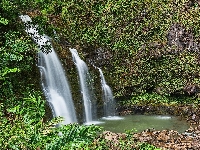 Wodospad Upper Waikani Falls, Roślinność, Hawaje, Drzewa, Las, Skały, Maui