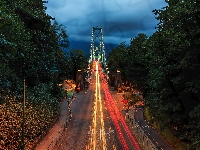 Lions Gate Bridge, Drzewa, Kanada, Światła, Most, Noc, Vancouver