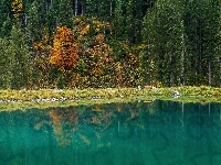 Las, Austria, Jezioro Herzsee, Drzewa, Gmina Aldrans