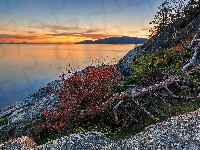Drzewa, Cieśnina Strait of Georgia, Kanada, Skała, Zachód słońca, Rośliny, Vancouver
