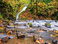 Las, Rzeka Bridal Veil Creek, Jesień, Rezerwat przyrody Columbia River Gorge, Stany Zjednoczone, Kamienie, Wodospad Bridal Veil Falls, Drzewa, Oregon