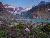 Jezioro Wedgemount, Kanada, Park prowincjonalny Garibaldi, Drzewo, Kamienie, Góry, Kwiaty, Kolumbia Brytyjska
