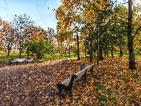Drzewa, Ławki, Jesień, Park, Alejka