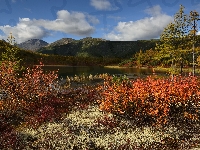 Jezioro Jack London, Góry Kołymskie, Krzewy, Kołyma, Rosja, Kolorowe, Jesień, Drzewa, Obwód magadański