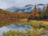 Jezioro, Rosja, Kołyma, Góry, Drzewa, Jesień, Mgła, Magadan