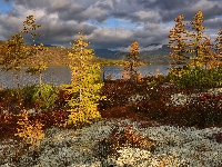 Rośliny, Jezioro Jack London, Chmury, Kołyma, Rosja, Kolorowe, Jesień, Drzewa, Obwód magadański