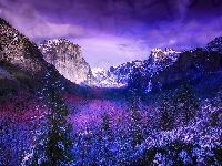 Dolina Yosemite Valley, Park Narodowy Yosemite, Świerki, Las, Stany Zjednoczone, Chmury, Zima, Góry, Stan Kalifornia