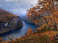 Jesień, Norwegia, Góry, Fiord Geirangerfjorden, Drzewa