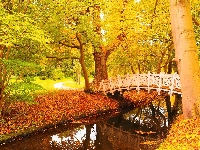 Drzewa, Rzeka, Liście, Park, Mostek, Jesień