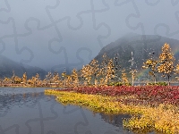 Jezioro Jack London, Drzewa, Rośliny, Tęcza, Rosja, Jesień, Obwód magadański, Kolorowe, Mgła, Góry Kołymskie, Trawy