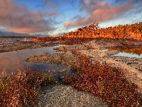 Jezioro Ładoga, Rosja, Chmury, Skały, Drzewa, Jesień, Rośliny, Karelia