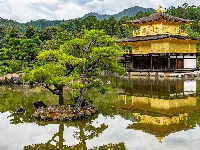 Rokuon-ji, Drzewa, Japonia, Staw Kyko chi, Świątynia Kinkaku-ji, Złoty Pawilon, Kioto
