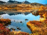 Góry, Norwegia, Odbicie, Jezioro, Roślinność, Jesień, Drzewa, Park Narodowy Rondane