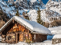 Chata, Śnieg, Góry, Alpy, Austria, Świerki, Zima, Drzewa, Ramsau am Dachstein